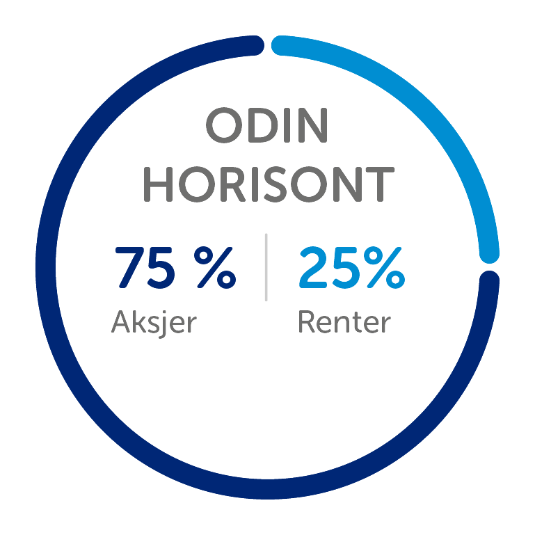 Odin horisont